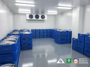 Perusahaan cold storage system